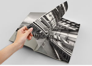 杭州銘陽(yáng)廣告 專(zhuān)業(yè)設(shè)計(jì)服務(wù)助力品牌高端形象